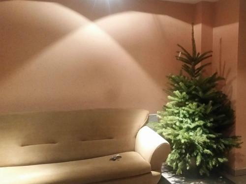 Apartament Pod Nosalem