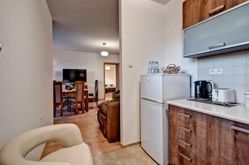 Apartament Pod Nosalem