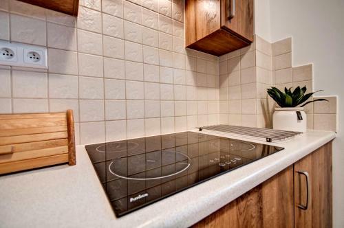 Apartament Pod Nosalem