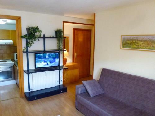 Apartamentos Formigal