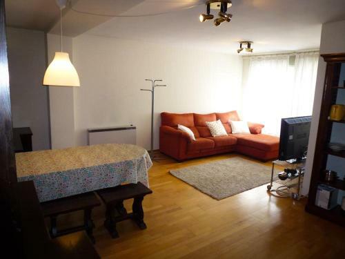 Apartamentos Formigal - Admite Mascotas
