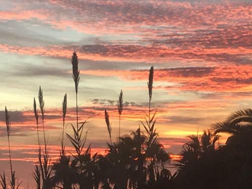 Paraiso Frente Al Mar Apto Duplex