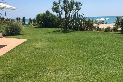 Amazing In Front Of The Sea Apartment