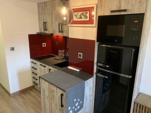 Apartamentos Formigal - Admite Mascotas