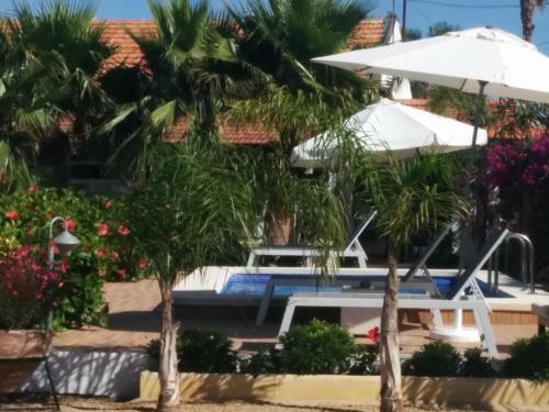 El Vivero Del Mar Menor