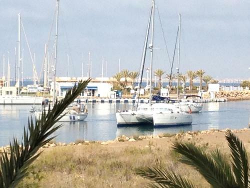 Apartamento Marinesco 2 - Overlooking Pool