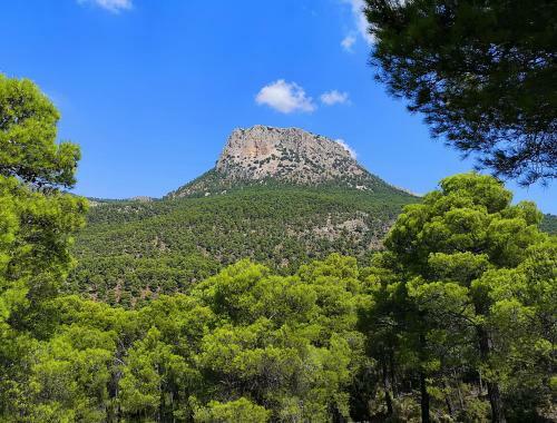 Apartamento Juana En Monaco