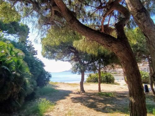 Apartamento Estudio Arp�n Cala Del Pino