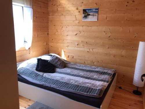 Lodge Cattleya 2
