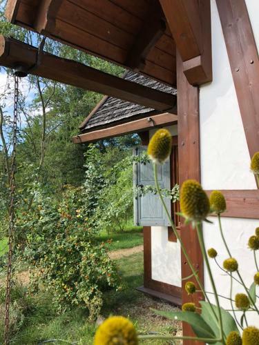 Dom Maj�wka I Apartamenty Bartosz�wka I Micha?�wka