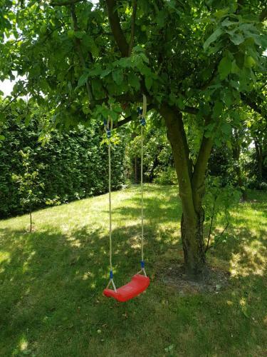 Apartamento Verde Land - Drewniany Domek Na Wsi