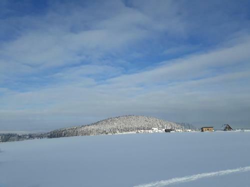 Lodge Domki Z Dusza