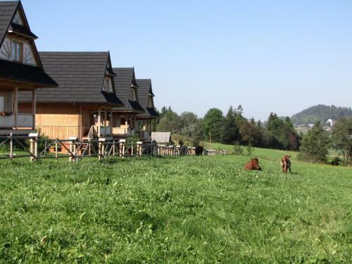 Lodge Domki Z Dusza