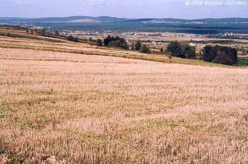 Agroturismo Stylowy Pok�j W Stajni