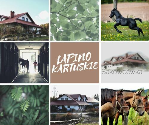 Bed & Breakfast Agroturystyka Sakowc�wka (Stajnia)