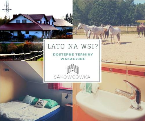 Bed & Breakfast Agroturystyka Sakowc�wka (Stajnia)