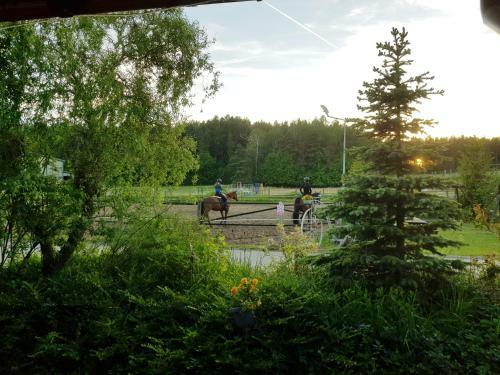 Bed & Breakfast Agroturystyka Sakowc�wka (Stajnia)