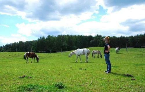 Bed & Breakfast Agroturystyka Sakowc�wka (Stajnia)