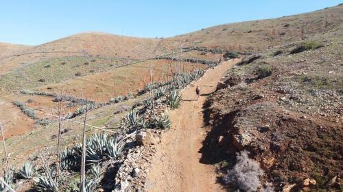 Bed & Breakfast Villa Vital Fuerteventura - Hospitable, Atmospheric, Authentic, Small-scale Accommodation