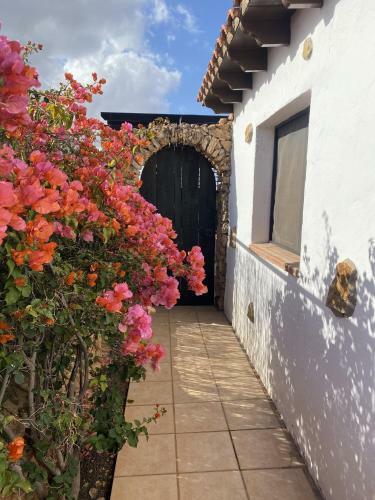 Bed & Breakfast Villa Vital Fuerteventura - Hospitable, Atmospheric, Authentic, Small-scale Accommodation