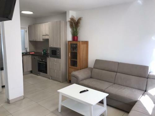 Apartamento Grosse Terrasse. Modern. Home Office. Solarium