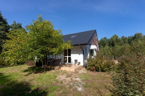 Rooms Of Poland (500m Od Suntago)