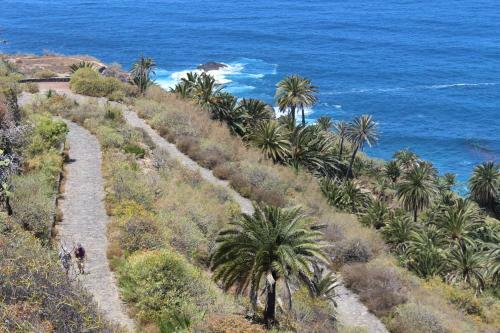 Tenerife Exotic Apartament