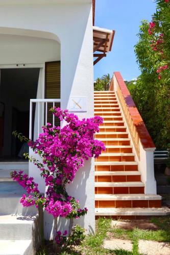 Villa Zodiac Acuario