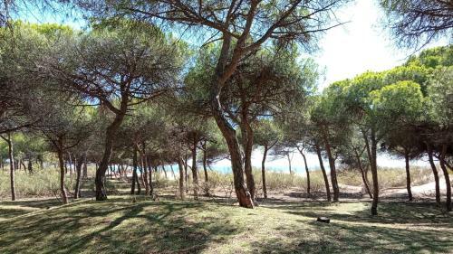 Apartamento En Islantilla Golf