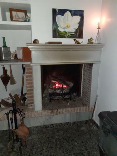 Apartamento Estudio Primera L�nea De Playa