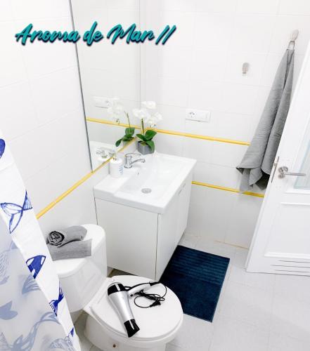 Apartamento Puerta Del Sol - Aroma de Mar II - Door 270
