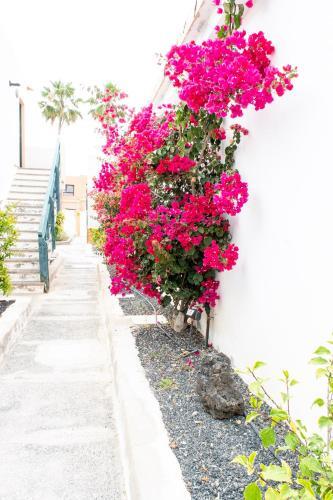 Apartamento Puerta Del Sol - Aroma de Mar II - Door 270