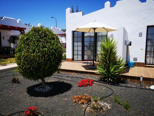 Bungalow Tranquillo E Soleggiato