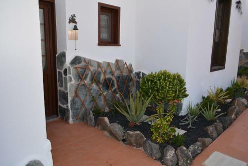 Apartamento Bungalow Montecastillo I1