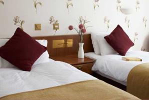 Best Western Fir Grove Hotel