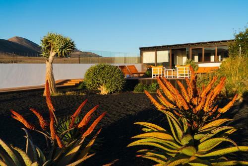 Villa Agave // Villa Card�n