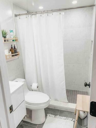 Luxury Apartment With Backyard + Close Transportation