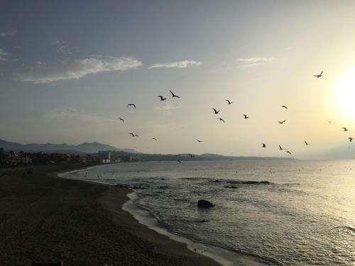 Apartamento Las Mimosas Beach