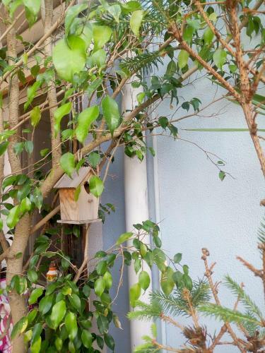 Bed & Breakfast I Tre Scalini