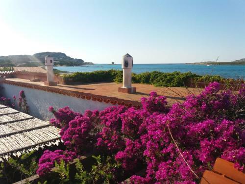 Hostal Villa Curiazzi