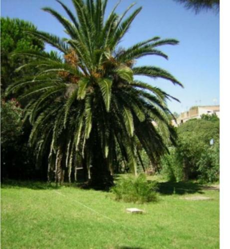 Villa La Terrazza