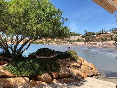 Apartamento Oasis Beach 1, La Zenia