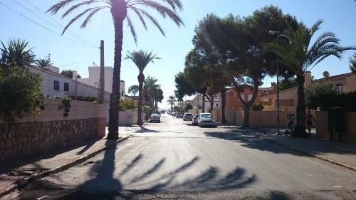 Apartament Dalia La Zenia
