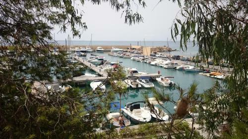 Apartament Dalia La Zenia