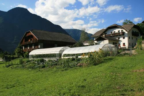 Apartamento Bio Felderhof