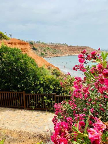 Apartment Costa Lunar In Cabo Roig