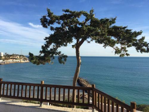 Apartamento Cabo Roig Del Sol