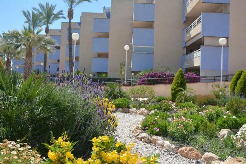 Apartamento Cabo Roig Del Sol