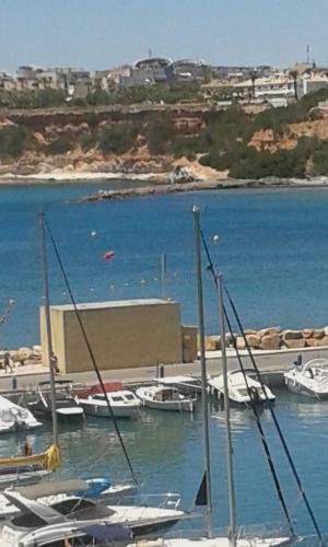 Apartamento Cabo Roig Del Sol