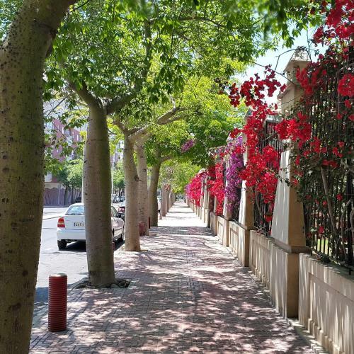 La Zenia Holiday Home